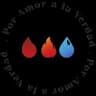 Logo PAV